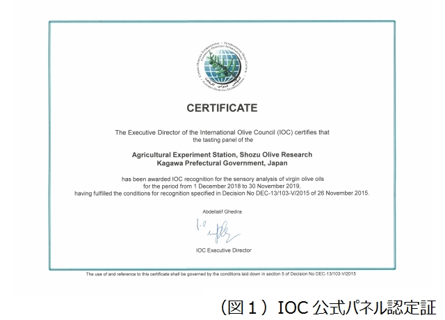 IOC公式パネル認定証