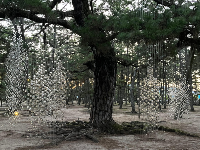 おでかけかがわ2