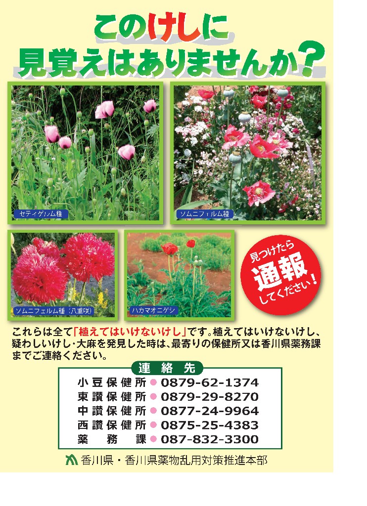 fuseitaimakeshibokumetsuchirashi_00001