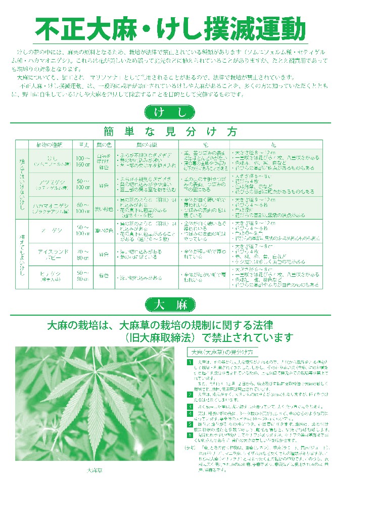 fuseitaimakeshibokumetsuchirashi_00002