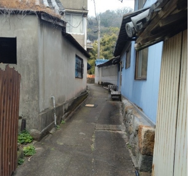 三豊市志々島のケモノスジ（ナワメスジの仲間）
