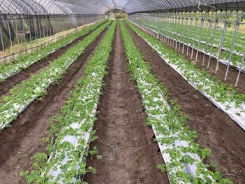 令和7年10月20日