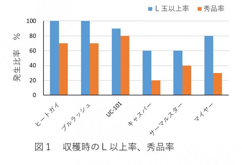 図1収穫時のL以上率、秀品率
