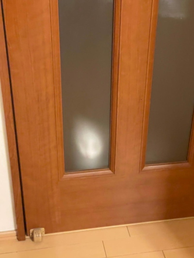 ペットフレンズ1