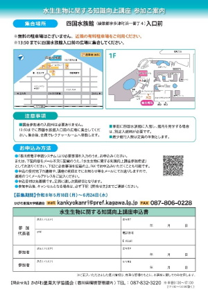 チラシ2