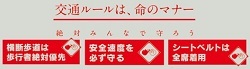 交通死亡事故ゼロを目指す