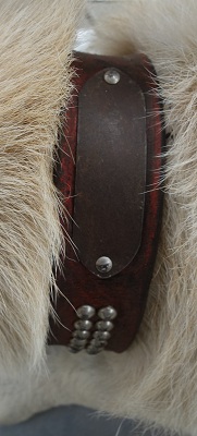 R080707-2640065-3