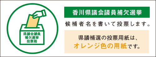県議