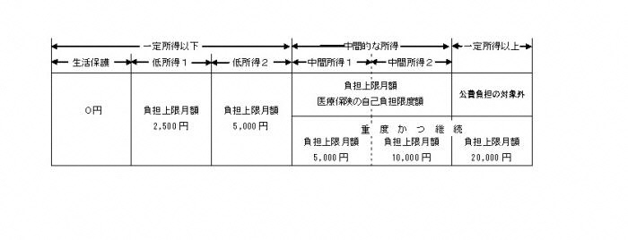 自己負担額