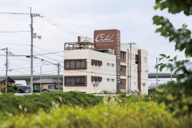 オーキッド