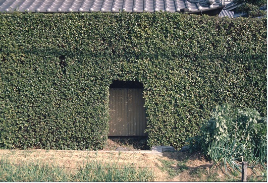 讃岐のフランス式庭園
