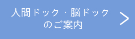ningendokku