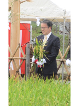 知事が抜穂（稲刈り）に参加している