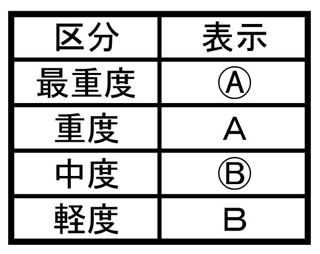 療育手帳の区分と表示