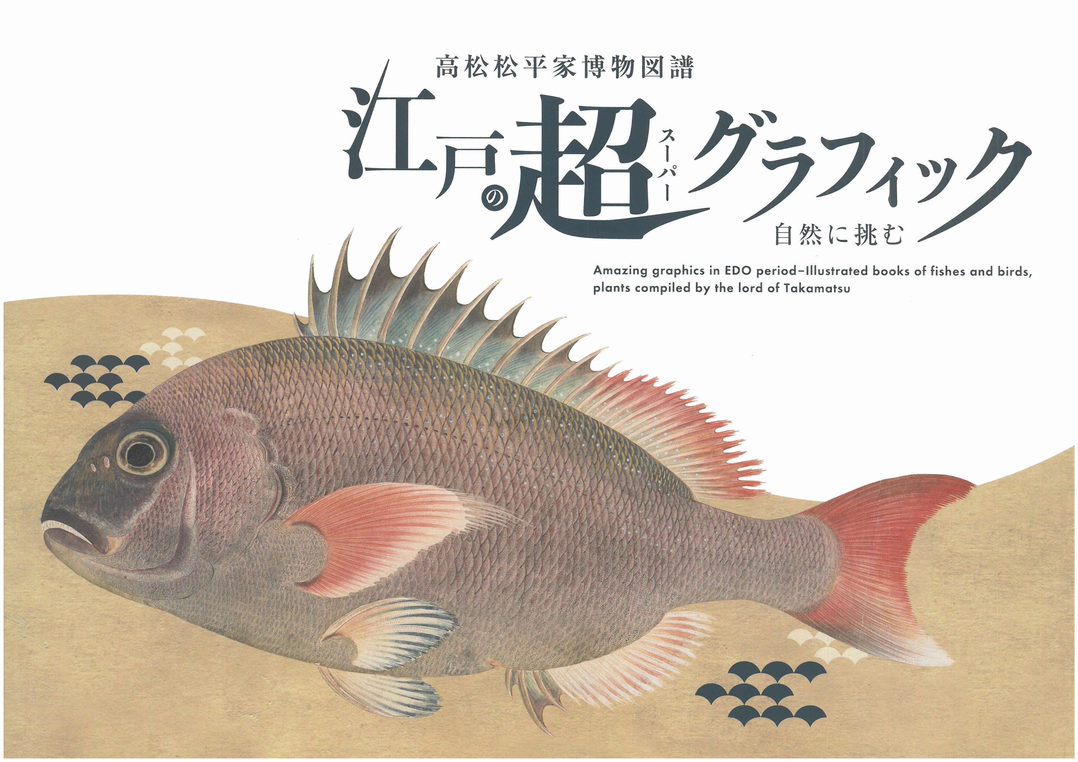 自然に挑む　江戸の超グラフィック　高松松平家博物図譜の画像