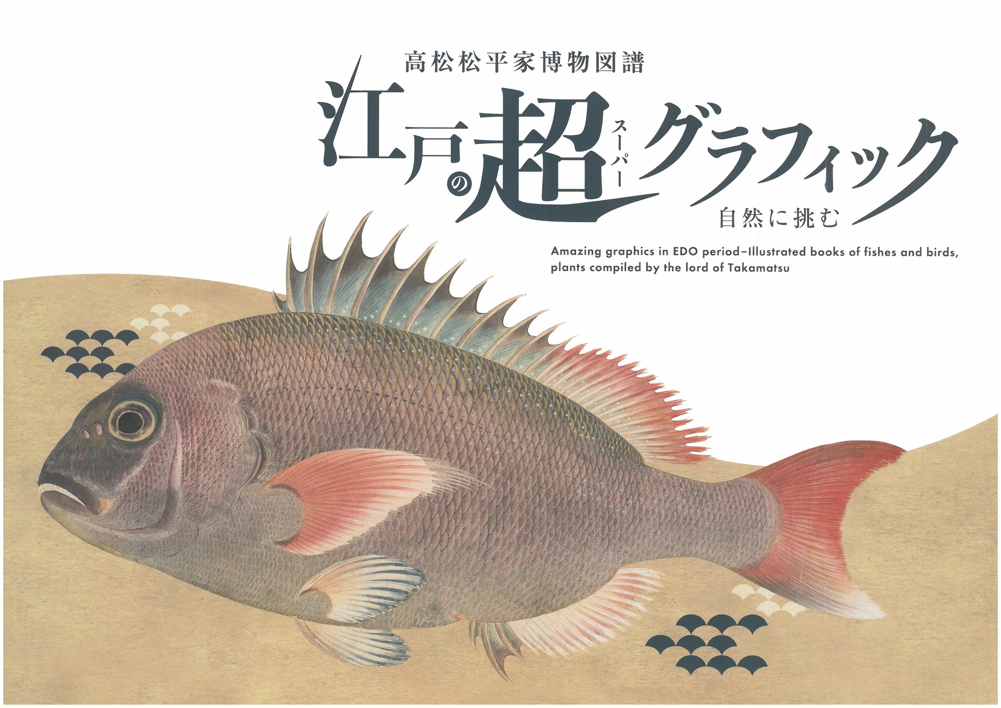 自然に挑む江戸の超グラフィック高松松平家博物図譜の画像