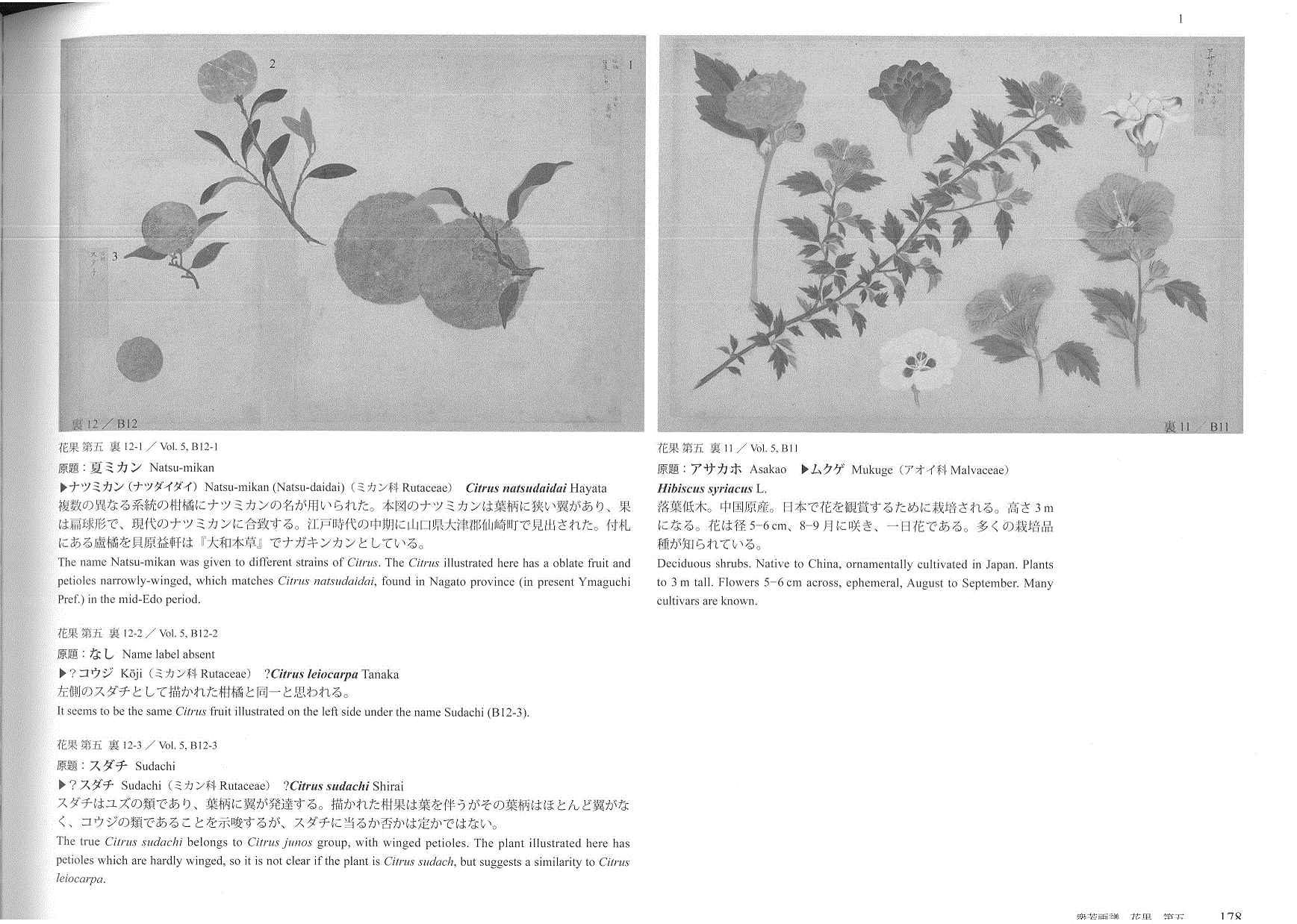 衆芳画譜 研究編